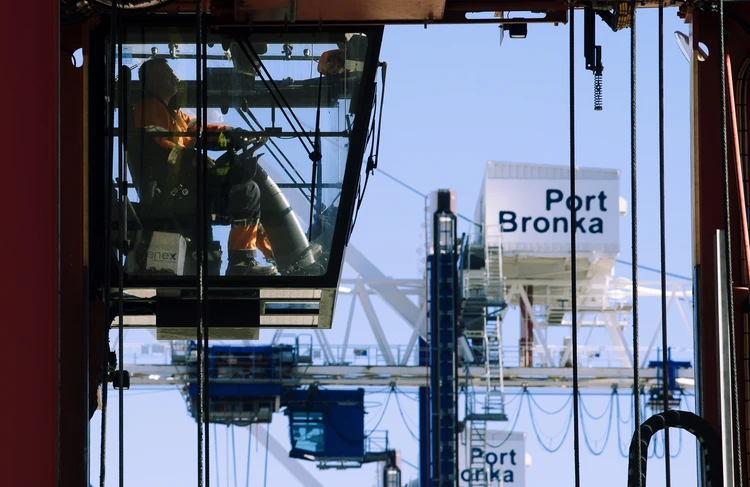 Порт «Бронка» - социально значимый объект для Петербурга - фото 3